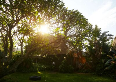 A-frame bungalow in the sunlit garden at Umzumbe Surf Camp